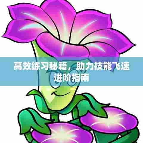 高效练习秘籍,助力技能飞速进阶指南