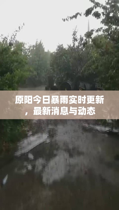 原阳今日暴雨实时更新，最新消息与动态
