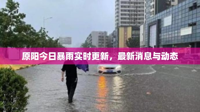 原阳今日暴雨实时更新,最新消息与动态