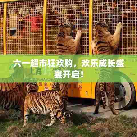 六一超市狂欢购,欢乐成长盛宴开启!