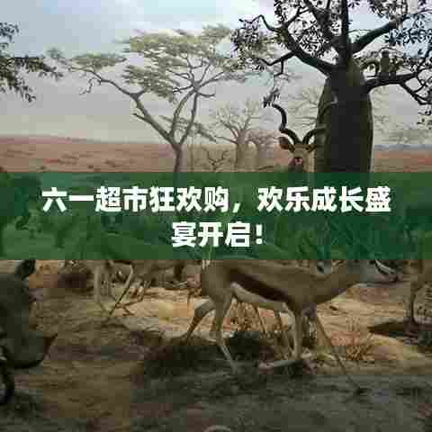 六一超市狂欢购,欢乐成长盛宴开启!