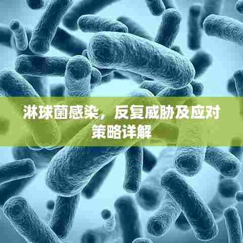 淋球菌感染，反复威胁及应对策略详解