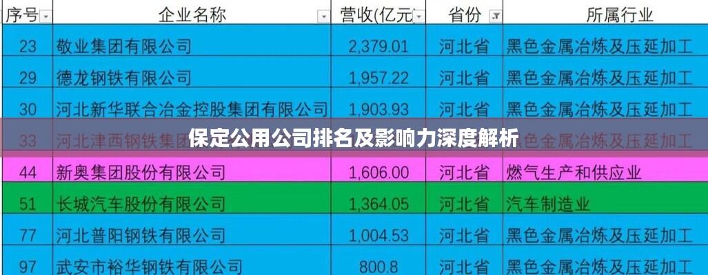 保定公用公司排名及影响力深度解析