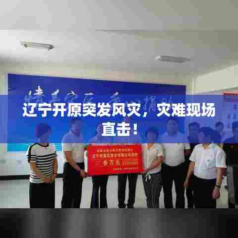 辽宁开原突发风灾，灾难现场直击！