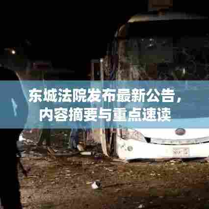 东城法院发布最新公告，内容摘要与重点速读