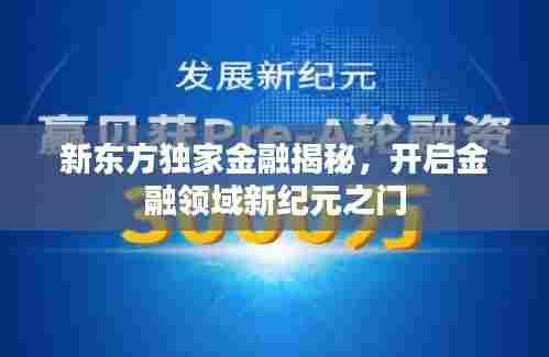 新东方独家金融揭秘,开启金融领域新纪元之门