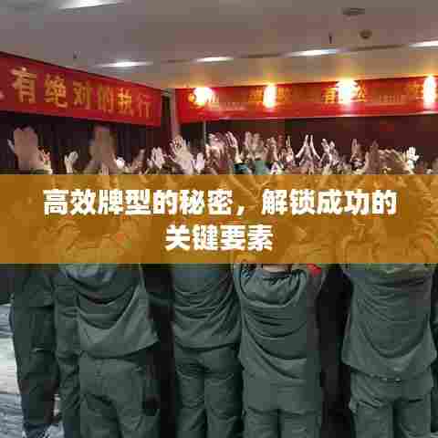 高效牌型的秘密,解锁成功的关键要素