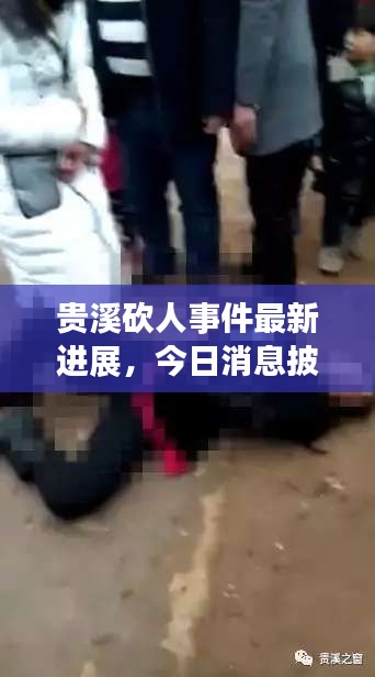 贵溪砍人事件最新进展，今日消息披露，事件细节揭秘！