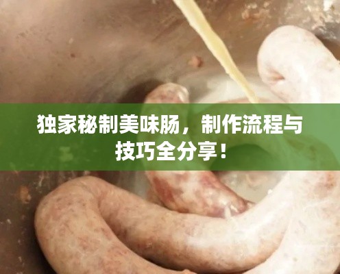 独家秘制美味肠,制作流程与技巧全分享!