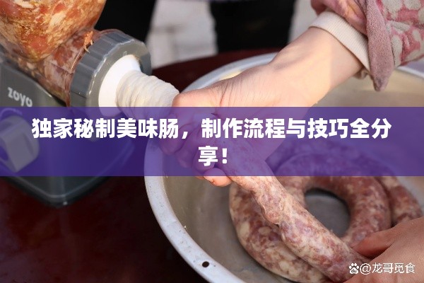 独家秘制美味肠,制作流程与技巧全分享!
