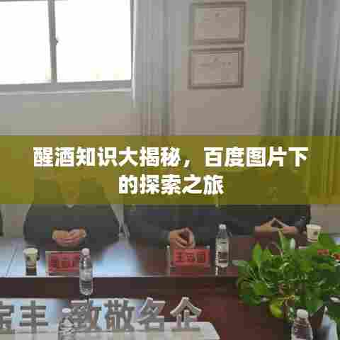 醒酒知识大揭秘,百度图片下的探索之旅