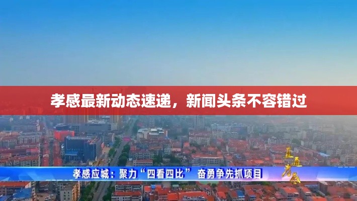 孝感最新动态速递，新闻头条不容错过