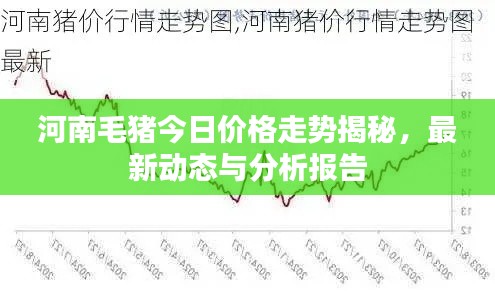 河南毛猪今日价格走势揭秘,最新动态与分析报告