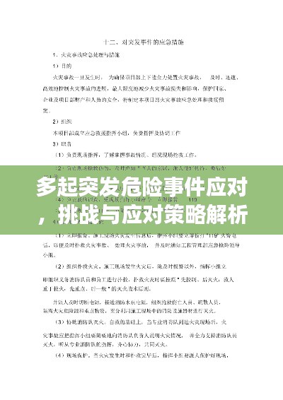 多起突发危险事件应对，挑战与应对策略解析