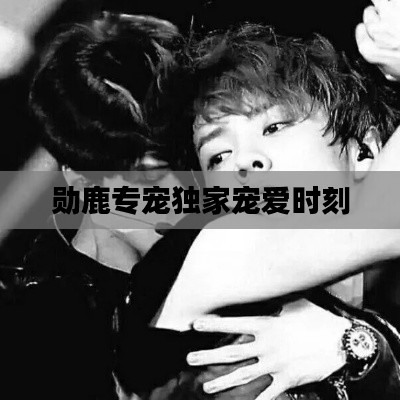勋鹿专宠独家宠爱时刻