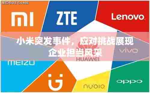 小米突发事件，应对挑战展现企业担当风采