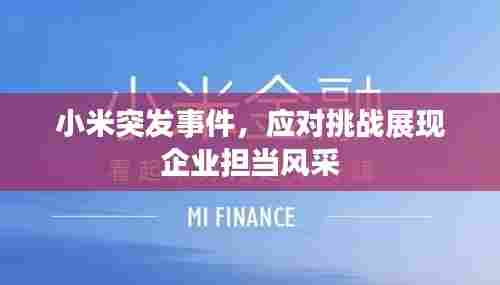 小米突发事件,应对挑战展现企业担当风采