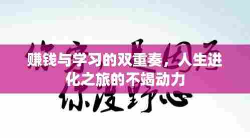 赚钱与学习的双重奏,人生进化之旅的不竭动力
