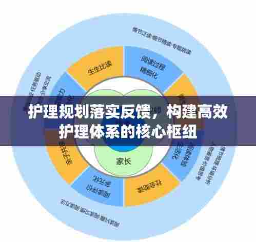 护理规划落实反馈，构建高效护理体系的核心枢纽