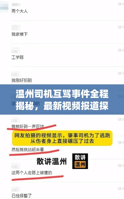 温州司机互骂事件全程揭秘，最新视频报道探究事件始末