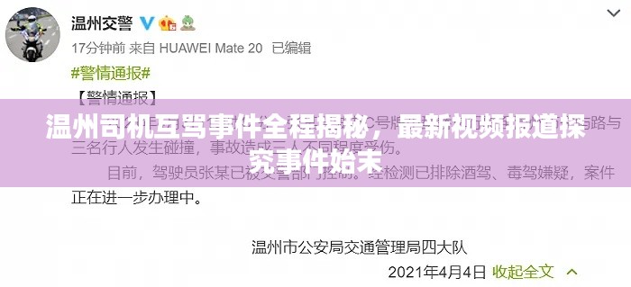 温州司机互骂事件全程揭秘,最新视频报道探究事件始末