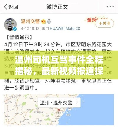温州司机互骂事件全程揭秘,最新视频报道探究事件始末