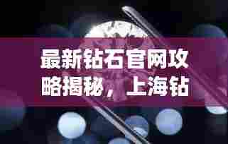 最新钻石官网攻略揭秘，上海钻石之都的神秘面纱