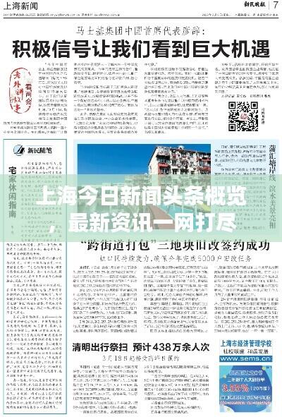 上海今日新闻头条概览,最新资讯一网打尽