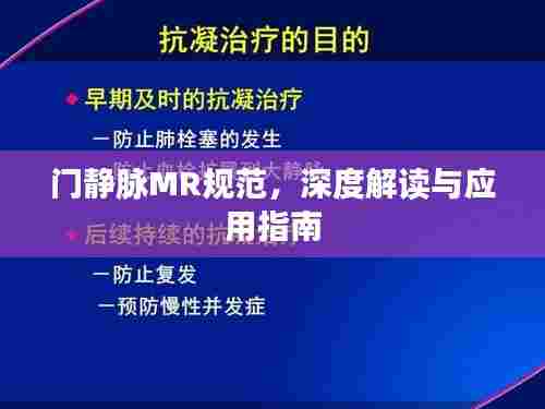 门静脉MR规范,深度解读与应用指南