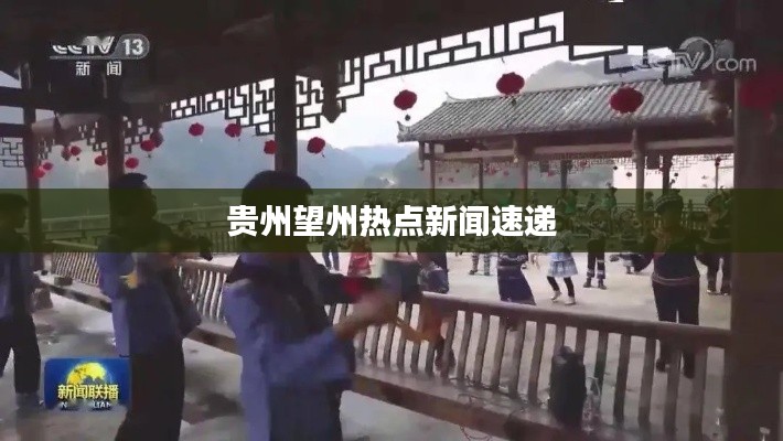 贵州望州热点新闻速递