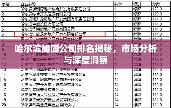 哈尔滨加固公司排名揭秘，市场分析与深度洞察