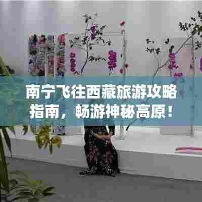 南宁飞往西藏旅游攻略指南，畅游神秘高原！