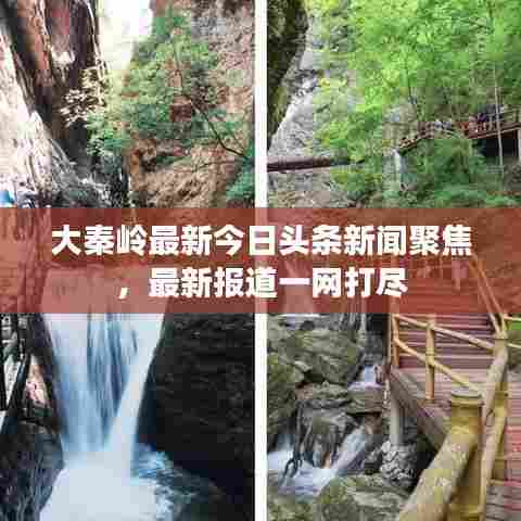 大秦岭最新今日头条新闻聚焦，最新报道一网打尽