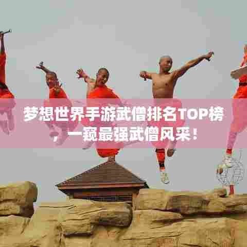 梦想世界手游武僧排名TOP榜，一窥最强武僧风采！