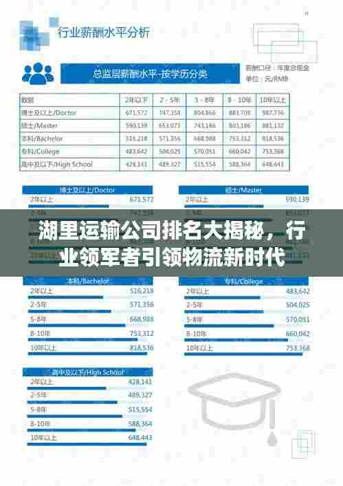 湖里运输公司排名大揭秘，行业领军者引领物流新时代