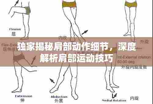 独家揭秘肩部动作细节,深度解析肩部运动技巧