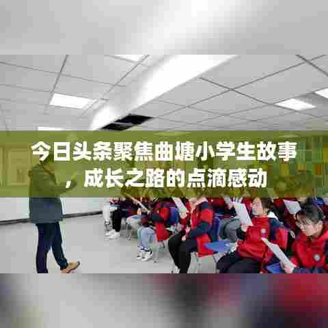 今日头条聚焦曲塘小学生故事，成长之路的点滴感动