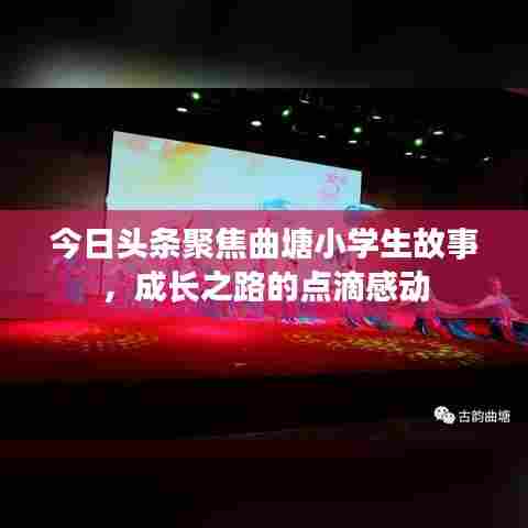 今日头条聚焦曲塘小学生故事,成长之路的点滴感动