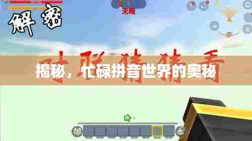 揭秘,忙碌拼音世界的奥秘