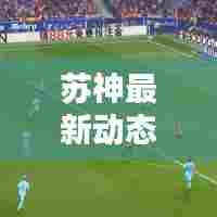 苏神最新动态，今日消息速递，热点新闻头条