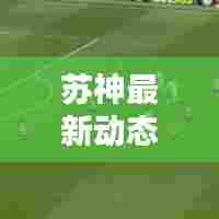 苏神最新动态,今日消息速递,热点新闻头条