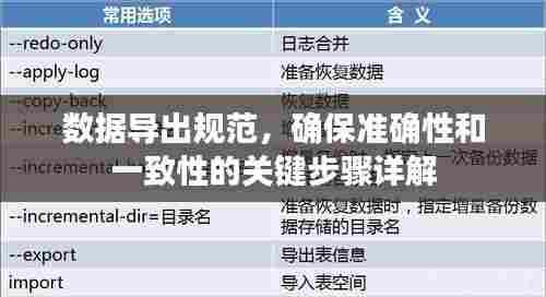 数据导出规范，确保准确性和一致性的关键步骤详解