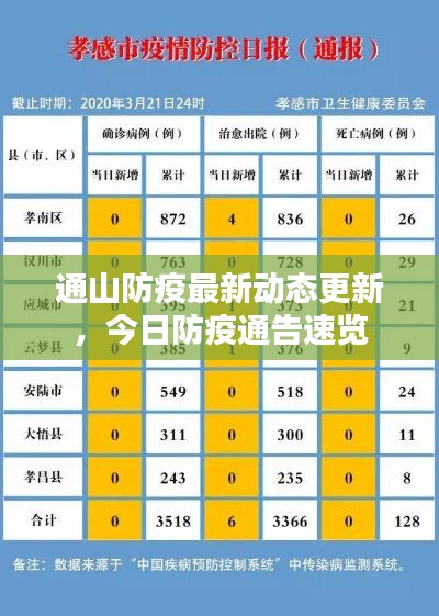 通山防疫最新动态更新,今日防疫通告速览