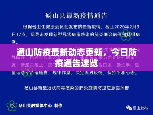 通山防疫最新动态更新,今日防疫通告速览