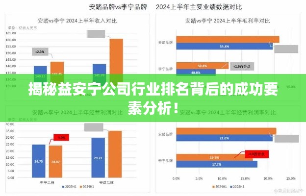 揭秘益安宁公司行业排名背后的成功要素分析!