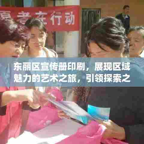东丽区宣传册印刷,展现区域魅力的艺术之旅,引领探索之旅