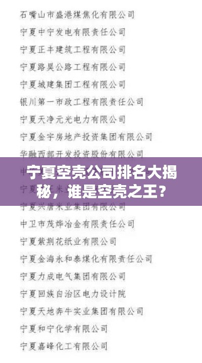 宁夏空壳公司排名大揭秘,谁是空壳之王?