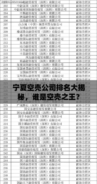 宁夏空壳公司排名大揭秘,谁是空壳之王?