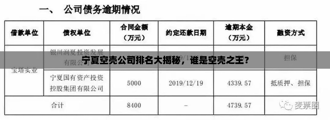 宁夏空壳公司排名大揭秘,谁是空壳之王?