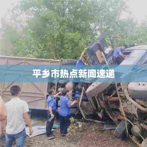 平乡市热点新闻速递
